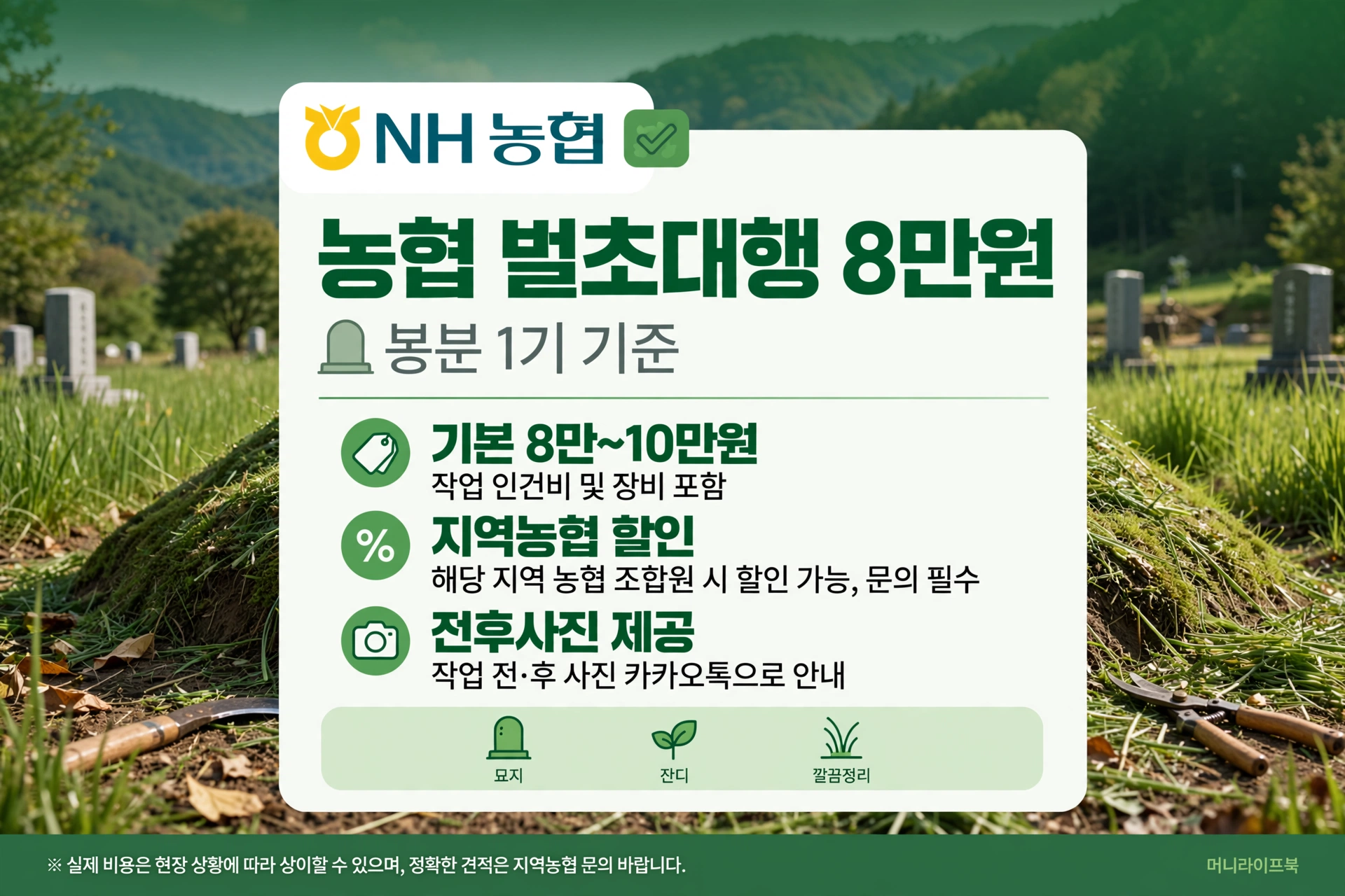 농협 벌초 8만원 vs 산림조합 15만원 차이? 전후사진·AS 비교 3가지
