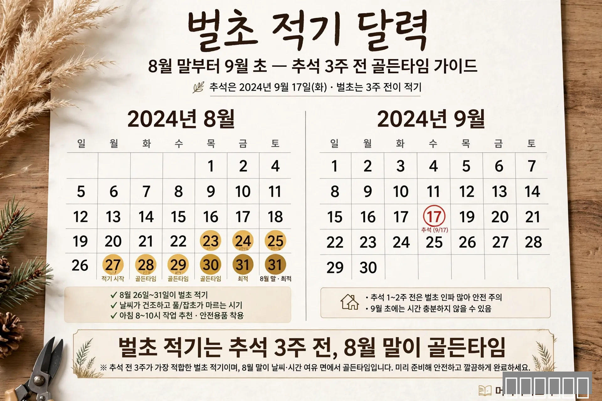 벌초 적기 추석 3주 전 골든타임
